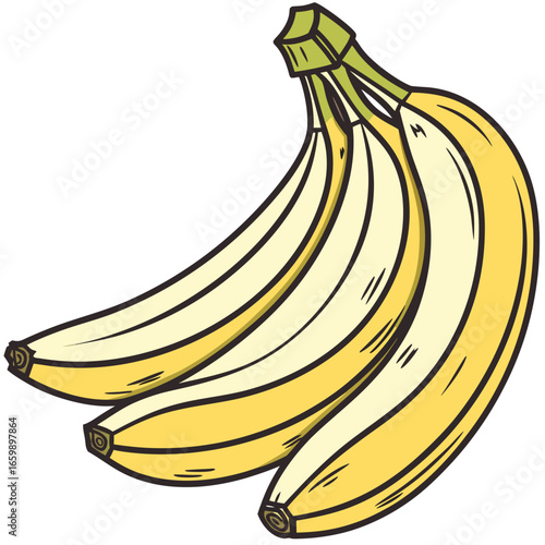 Illustration of a bunch of three bananas