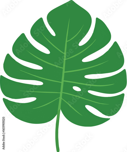 A vibrant green vector illustration of a single Monstera deliciosa leaf.