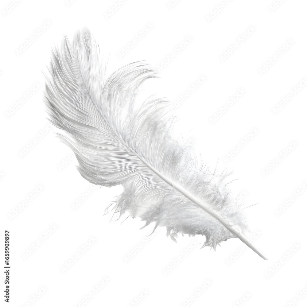 Obraz premium White feather against black background