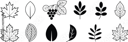 Leaf and berry icon collection, twelve unique botanical shapes with varied designs and outlines, black vector illustration for nature, garden, plant, decorative themes