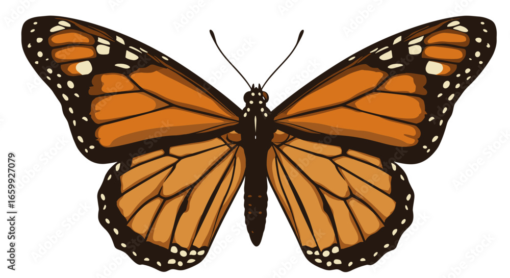 Fototapeta premium Vibrant monarch butterfly with detailed patterns in realistic style