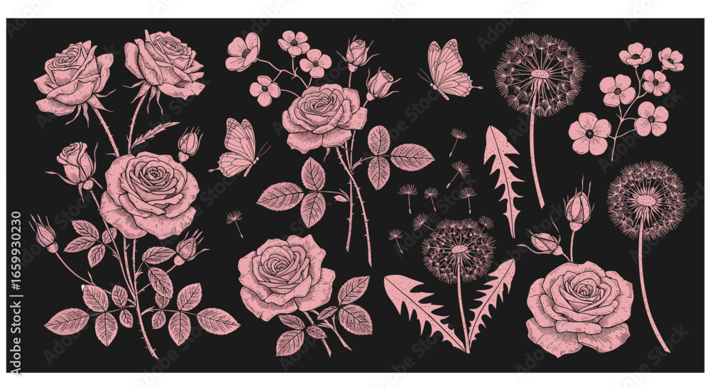 Fototapeta premium Elegant floral patterns with roses and dandelions in vintage botanical design