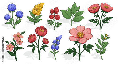 Collection of vibrant colorful flowers in detailed botanical style