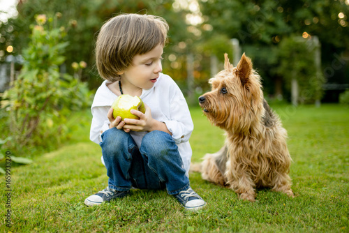 Fotografie Happy young boy sits on the grass beside his Australian Terrier, enjoying a joyf