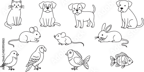 Line drawings of various cute domestic animals and birds vector illustration