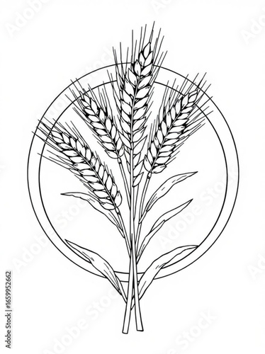 Minimilist illustration of wheat stalks within a circle outline in black and white style drawing design element vector