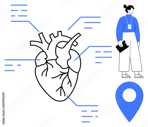 Anatomical heart diagram with notation lines, standing professional holding folder, blue location marker. Ideal for healthcare, anatomy, cardiology, education, navigation, diagnostics simple flat