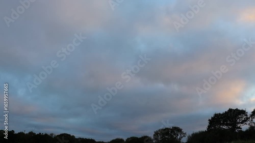 Dark Stormy Evening Sunset Clouds Above Trees - Timelapse Footage