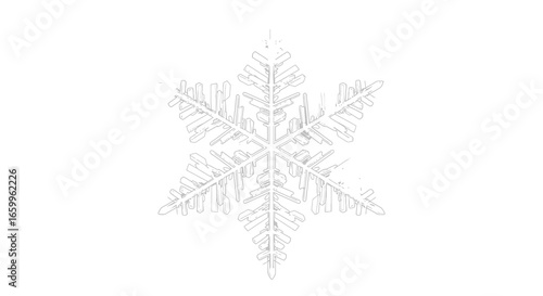 Intricate crystalline snowflake detailed structure on a clean white background, capturing winter's delicate beauty and natural symmetry