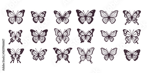 Hand-drawn butterfly collection in vintage engraving style, detailed insect illustrations perfect for nature, botanical, and decorative design.