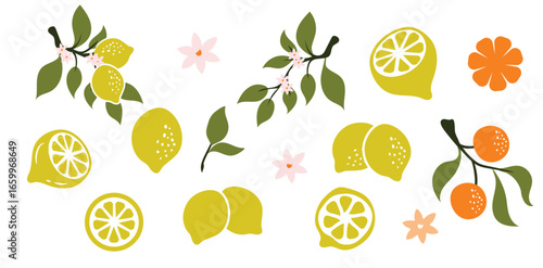 Set of vector illustration of a fresh LEMON with one half cut open and green leaf isolated. the LEMON's texture is clearly. The illustration on white background.