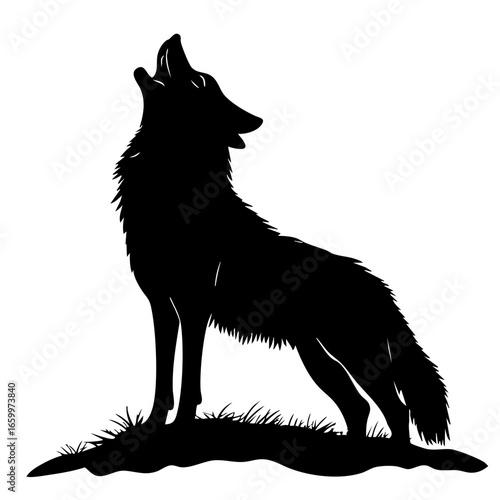 Howling wolf silhouette standing on a grassy hilltop under the moonlight at night