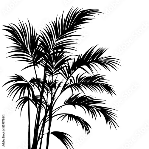 Tropical palm plant with elongated leaves showcasing detailed foliage and natural elegance in a simple design