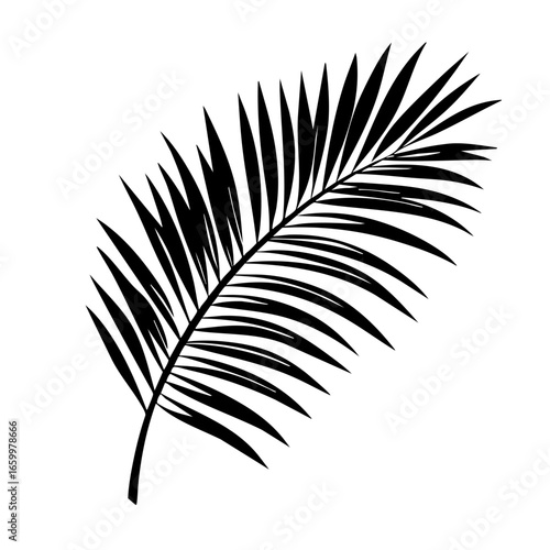 Detailed black vector illustration of a palm leaf showcasing intricate frond structures and organic shapes for design and decoration purposes