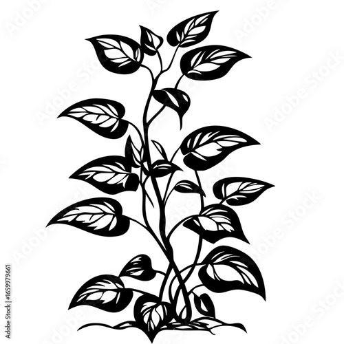 Vivid black vector illustration of lush, leafy plant growth in a natural setting showcasing detailed foliage and elegant lines