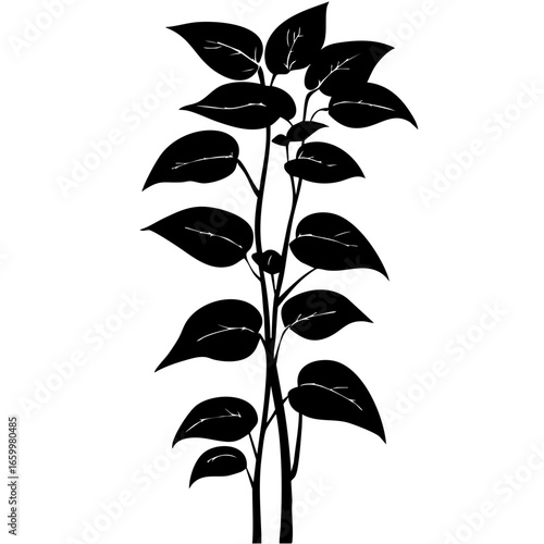 Stylized silhouette of a plant with elongated stems and lush leaves showcasing botanical beauty in minimalism