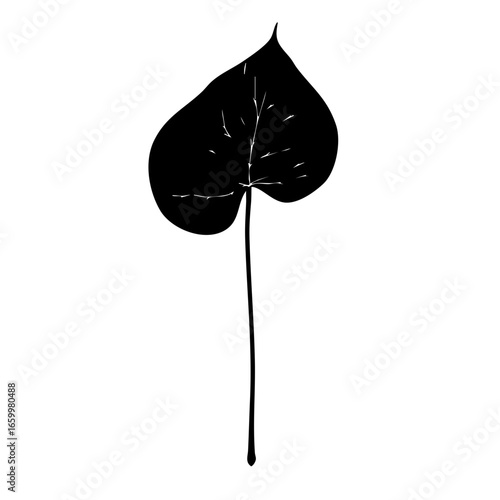 Black vector illustration of a heart-shaped leaf showcasing intricate vein details and a slender stem