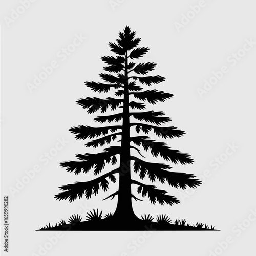 Silhouette of a Pine Tree with Grass Background