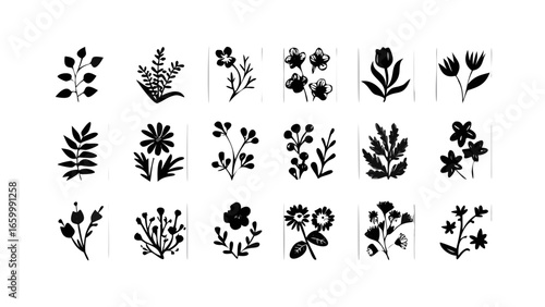 Assorted Botanical Elements flora leaves