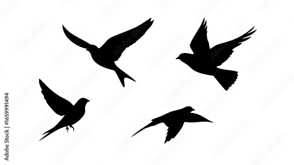 Obraz premium Black Cat Silhouette feline animal