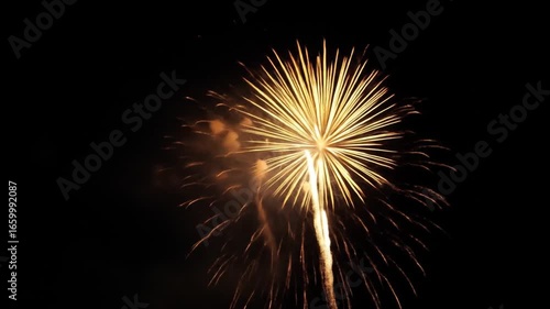 Wallpaper Mural Spectacular fireworks display with golden bursts against the night sky background Torontodigital.ca