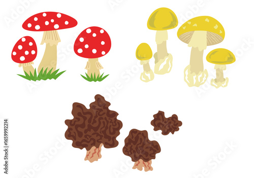 毒キノコ3種のイラストセット3