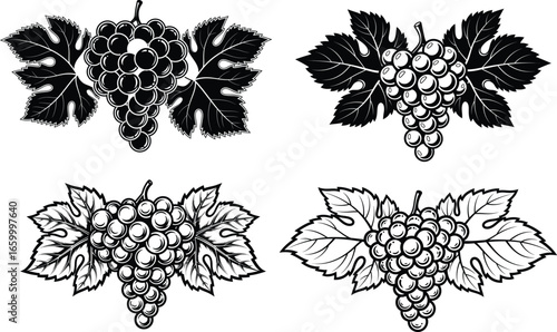 Grapes and Vine Leaves Engraving – Vintage Vineyard Fruit Vector Set