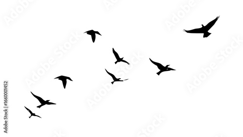 Flock of birds in flight flying migration