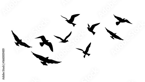 Flock of Birds in Flight flying silhouette
