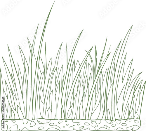 Create a kinds of grass vector line for architectural drawing, lawn section vector art  colo with white background.