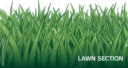 Create a kinds of grass vector line for architectural drawing, lawn section vector art color with white background.