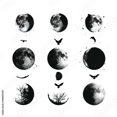 Halloween Moon Phases isolated in White background, silhouette Set, Halloween theme, Vector illustration