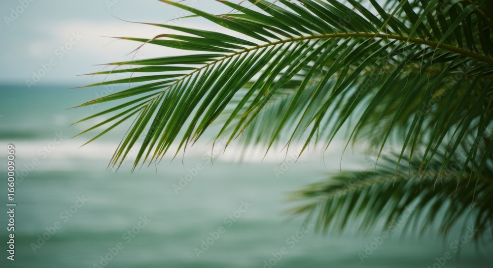 Fototapeta premium Vibrant Green Palm Leaves Over a Tranquil Teal Ocean