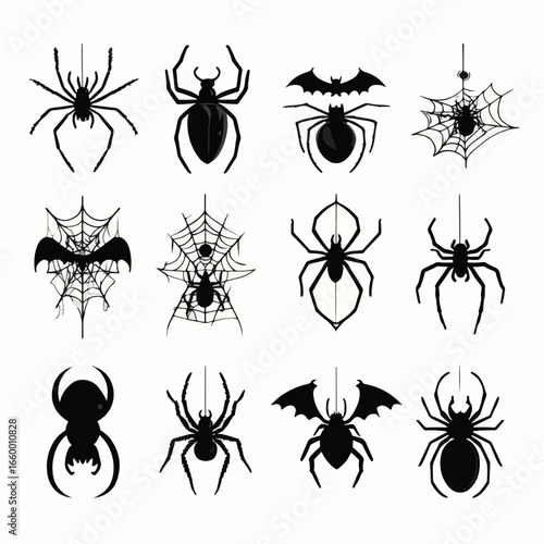 Halloween Spider isolated in White background, silhouette Set, Halloween theme, Vector illustration