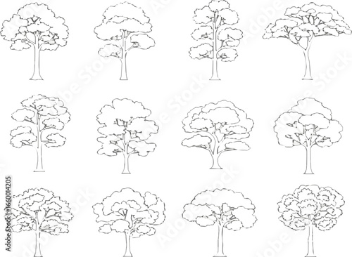 Create a kinds of deferent Minimal style cad tree line drawing, Side view, set of graphics trees elements outline symbol for architecture and landscape design drawing in stroke fill in  vector art.