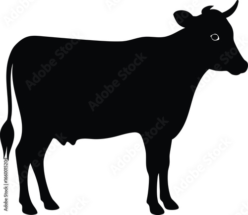 silhouette of a cow