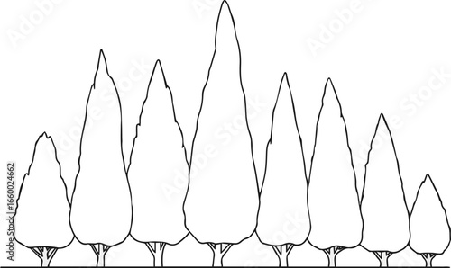 Create a Pine Cypres tree line drawing, Minimal style, Side view, set of graphics trees elements outline symbol for architecture and landscape design. , Cupressus sempervirens vector art color with wh