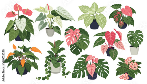 Botanical card, natural green plants. Exotic jungle background, floral backdrop design. Tropical leaf garden, fresh foliage. Greenery, greenhouse with leaves. Summer thickets. Flat vector illustration