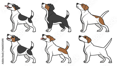 Six Jack Russell Terrier Illustrations Various Color Markings.