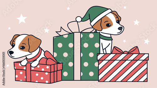 Two Jack Russell Terriers in Christmas Presents.
