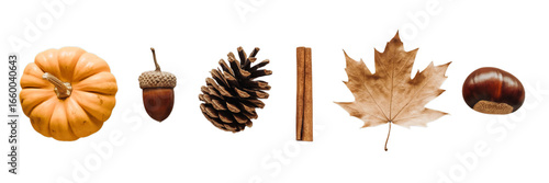 A delightful collection of autumn elements is presented horizontally on a transparent background.
