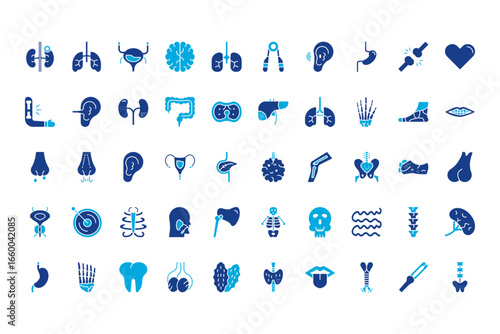 Human Anatomy Line Icons
