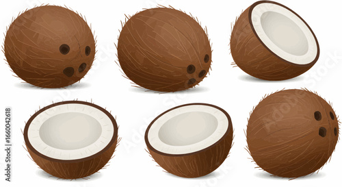 Set of Whole and Halved Coconuts, Tropical Fruit Illustration