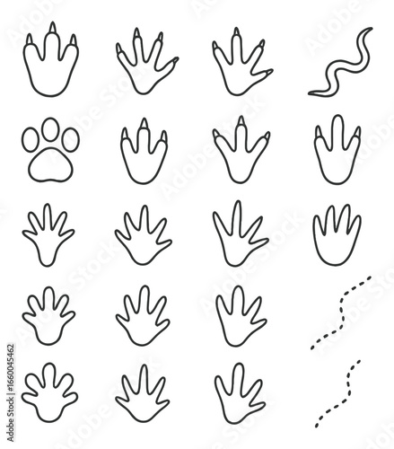Diverse animal tracks illustrations featuring bird and mammal footprints