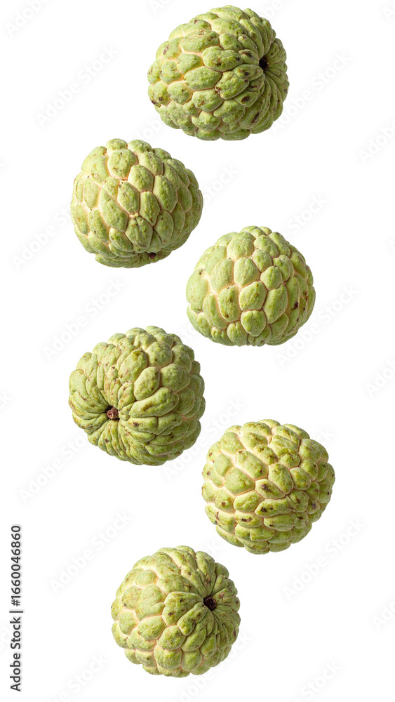 Fototapeta premium Ripe custard apples falling against a transparent background, creating a dynamic and appetizing visual