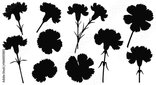 A collection of black silhouettes of various flowers on white background
