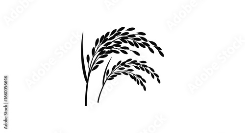 A black silhouette of two stalks of grass or wheat on a white background