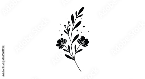 A black and white illustration of a flower branch with leaves and dots
