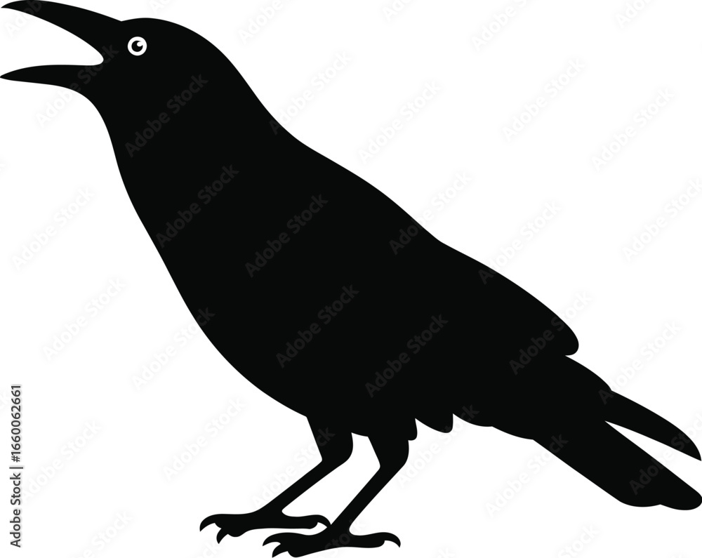 Fototapeta premium Black bird with open beak and white eye silhouette