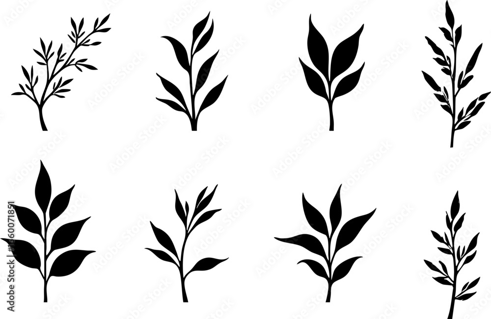 Fototapeta premium Botanical Black Silhouette Elements Set